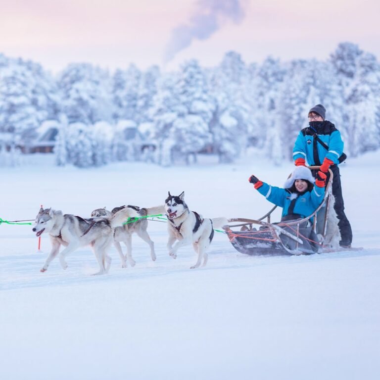 Finland: Northern Lights & Snowmobiles winter travel destination