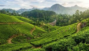 Srilanka